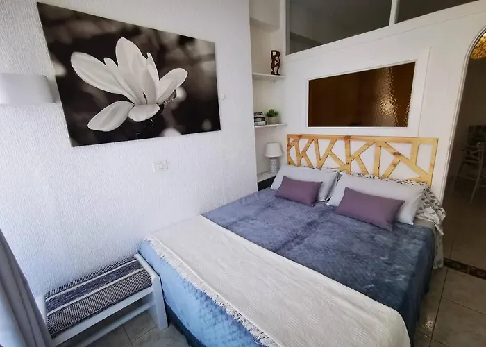 Lejlighed Estudio Ana