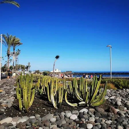 Apartamento Estudio Ana Puerto de la Cruz (Tenerife)