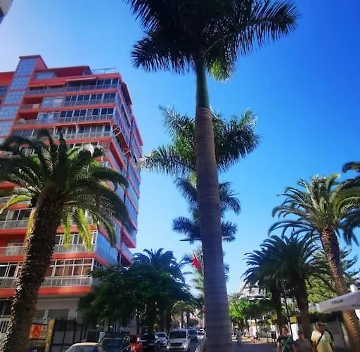 Estudio Ana * Puerto de la Cruz (Tenerife)